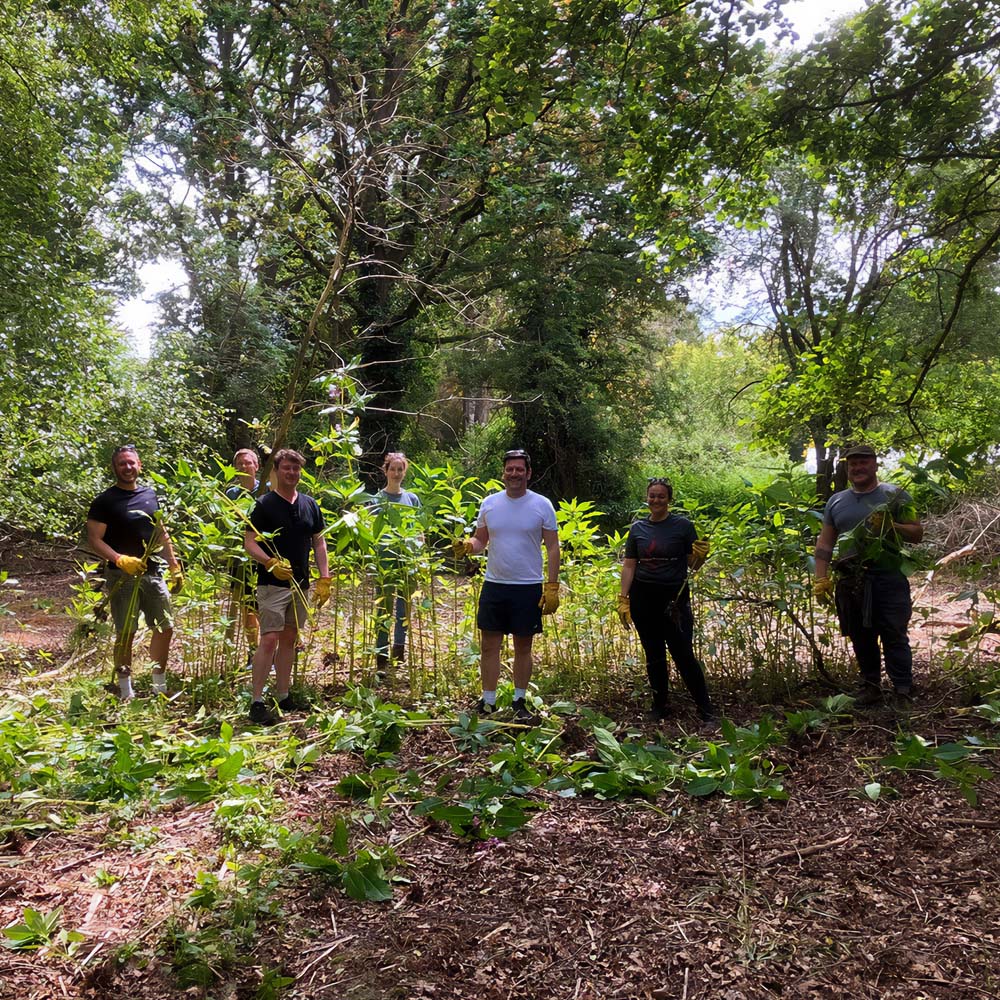 A group of volunteers wearing gardening gear in a forest