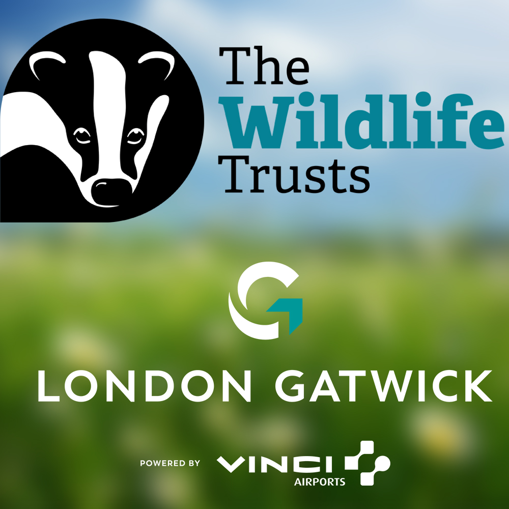 The Wildlife Trust and London Gatwick logos on a blurred background of a field of daisies