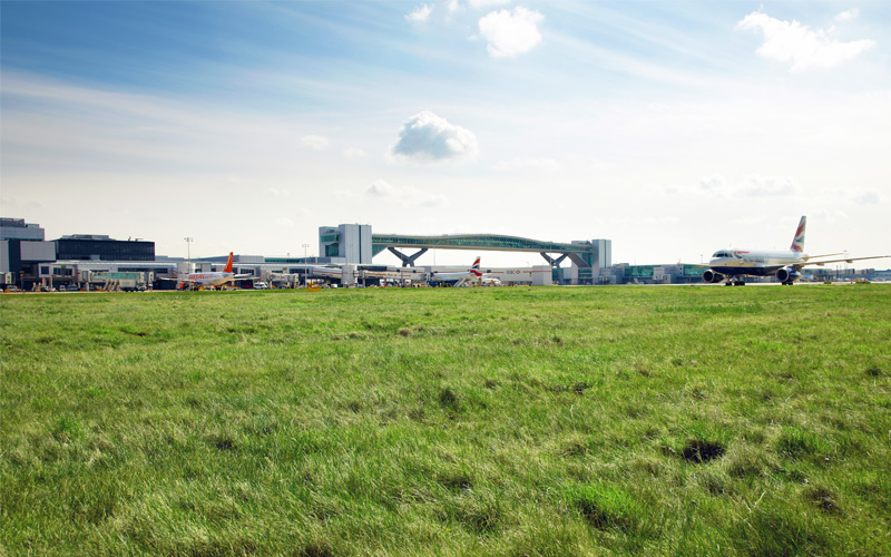 a photograph of a grassy field with London Gatwick's pier 6 bridge in the background and a British Airways a320 taxiing in front of it